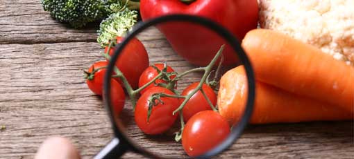 Tomaten werden mit Vergrößerungsglas angesehen