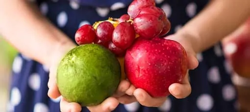 Gesundheitsberaterin hält Äpfel und Weintrauben in der Hand