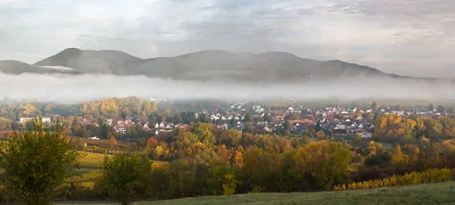 Panorama Pfälzerwald