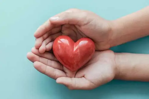 Fachwirt Gesundheit und Sozialwesen IHK - Hände halten schützend ein rotes Herz